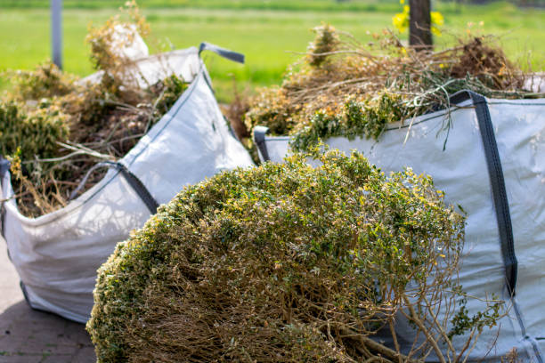 Best Property Management Cleanouts  in Tonopah, NV